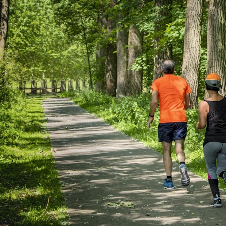 Fitness habits and consistency routine